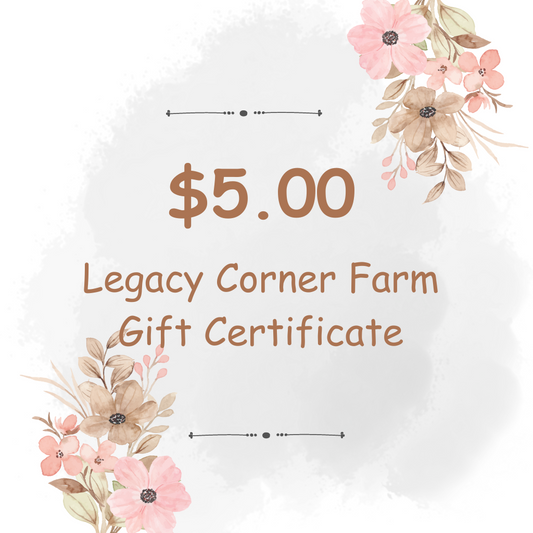 $5 Gift Certificate