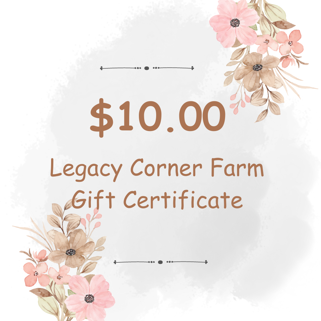 $10 Gift Certificate