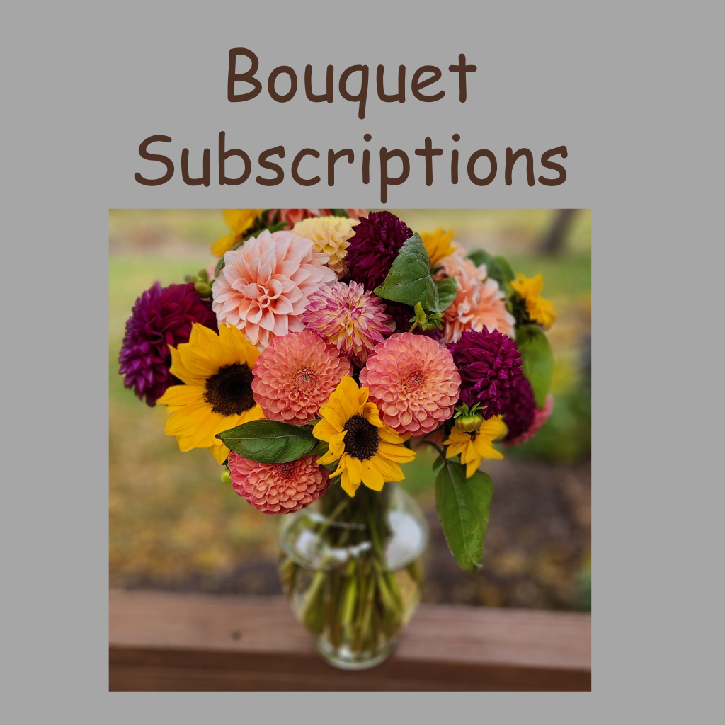 Bouquet Subscriptions