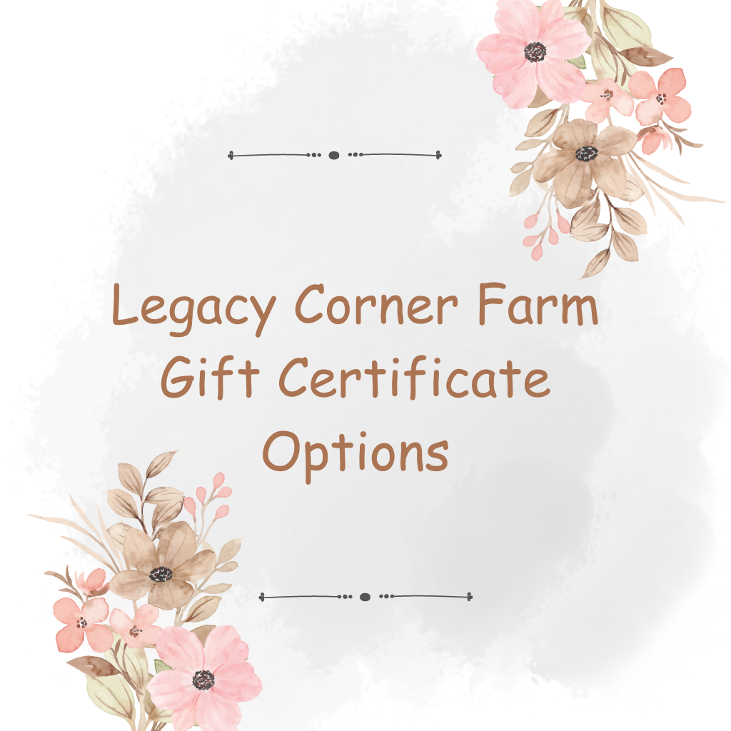 Gifts and Gift Certificates