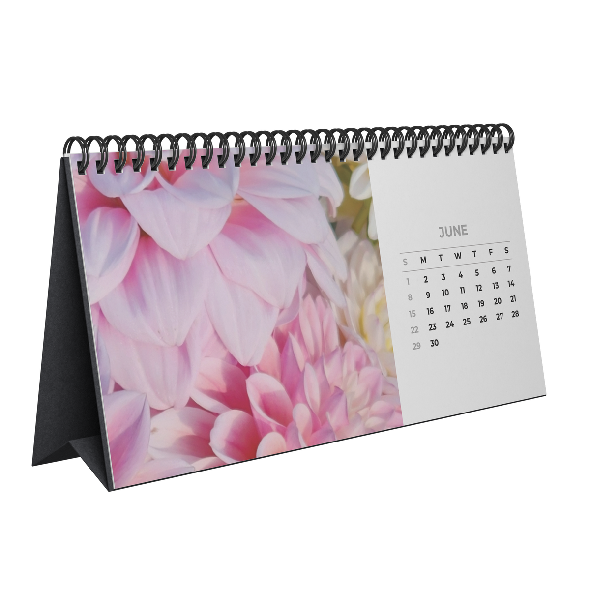 Dahlia_Obsessed_Calendar_Main_Angle_Mockup.png_16437653