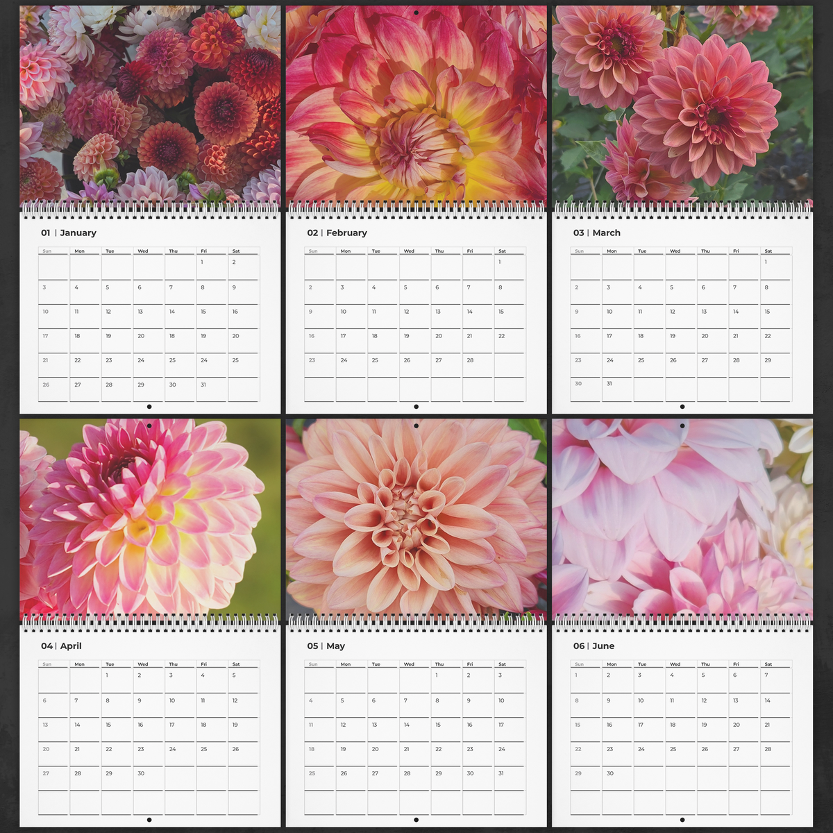 Dahlia_Wall_Calendar_Pages_1-6_-_Small_Mockup.png_16440905