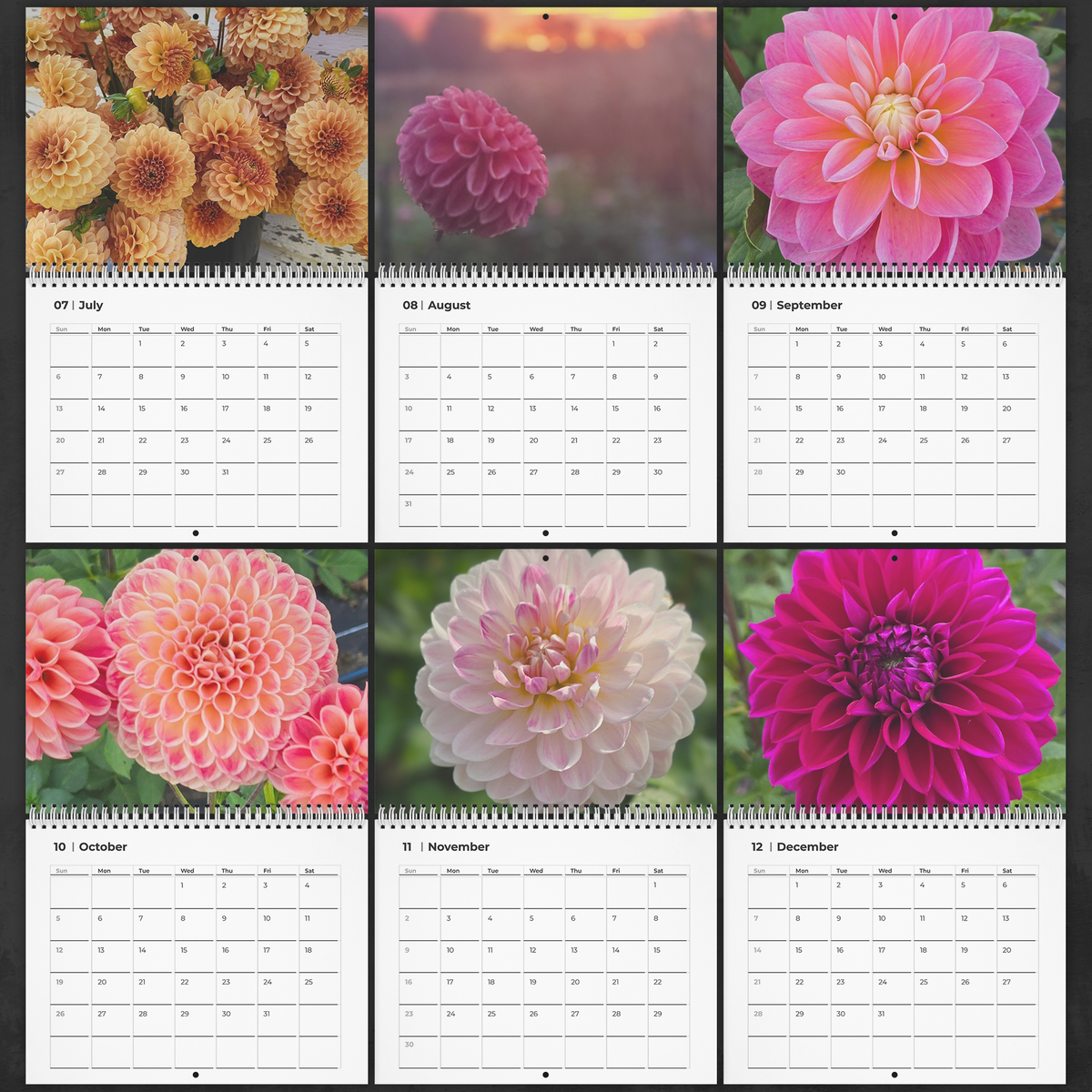 Dahlia_Wall_Calendar_Pages_6-12_-_Small_Mockup.png_16440908
