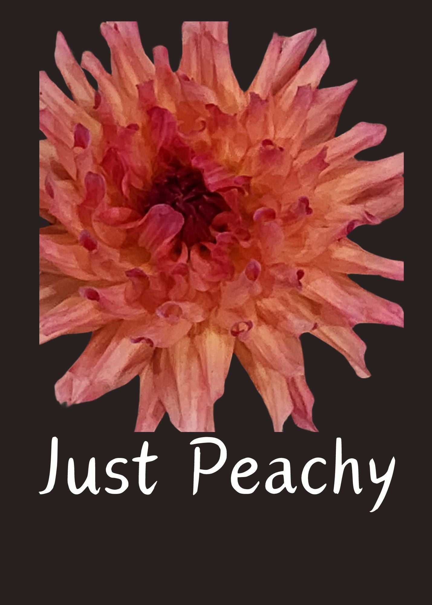 Just Peachy Dahlia