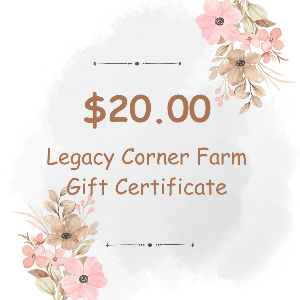 $20 Gift Certificate