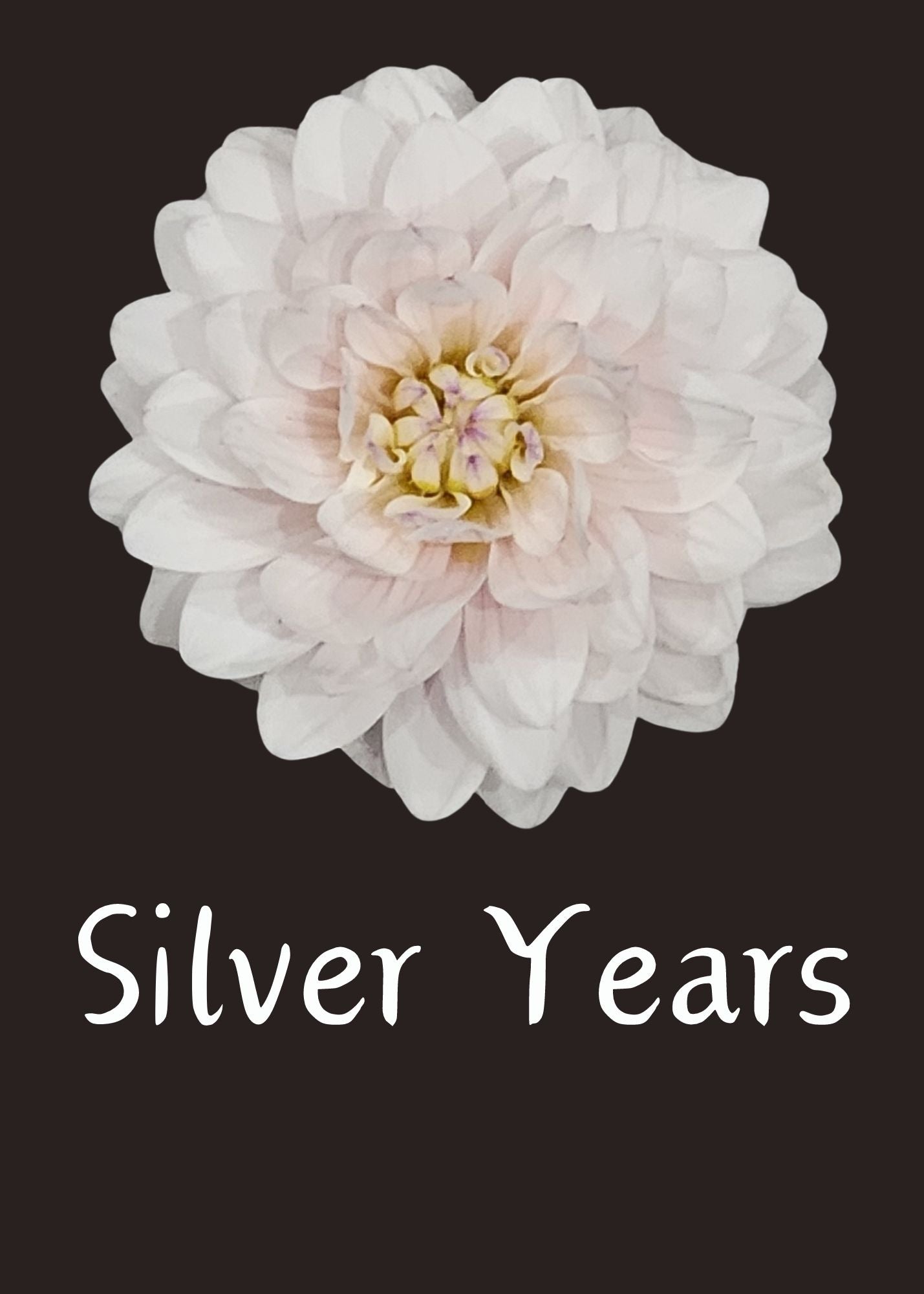 Silver Years Dahlia 10 Tuber Value Pack