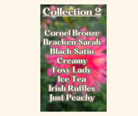 Last Chance Collection # 2