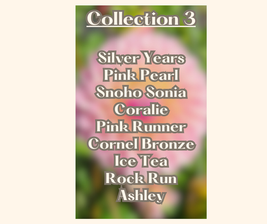 Last Chance Collection # 3