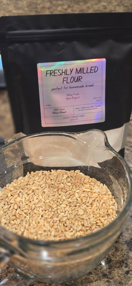 wheat berries, bag of freshly milled flour